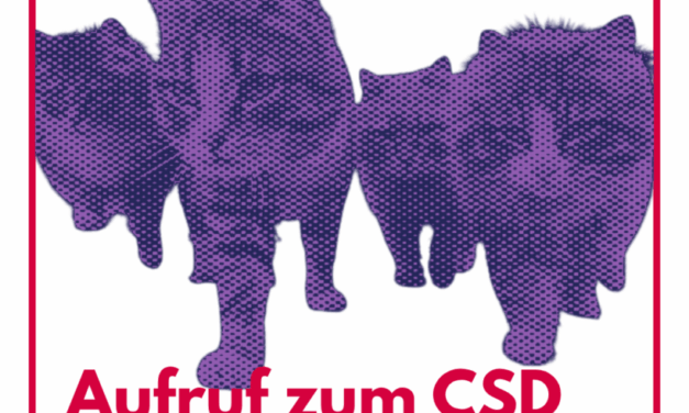 CSD Wetzlar verteidigen! Aufruf für emanzipatorischen Protest am 14. Juni