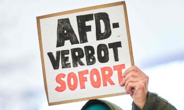 AfD-Landesvorstand setzt gesamten Offenbacher Parteivorstand ab