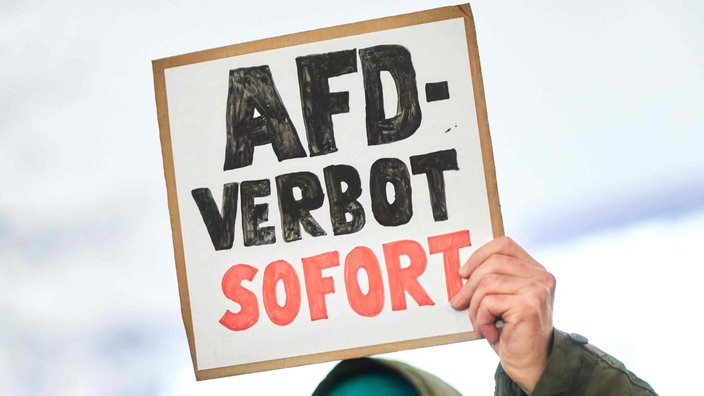 AfD-Landesvorstand setzt gesamten Offenbacher Parteivorstand ab